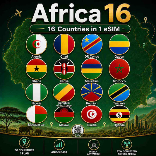 Africa (16 countries)